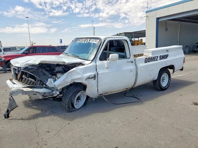 1GCGC24M4BJ****** 1981 Chevrolet C20