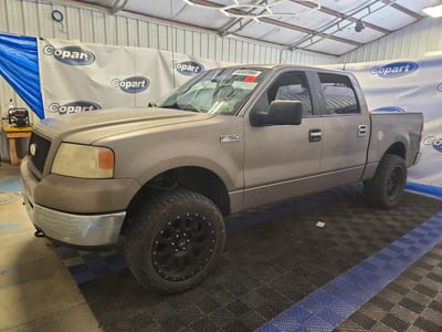 1FTRW14W46F****** 2006 Ford F-150