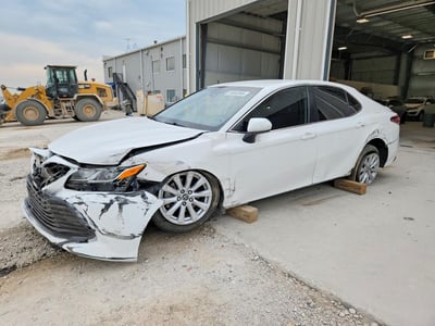 4T1B11HK0KU****** 2019 Toyota Camry