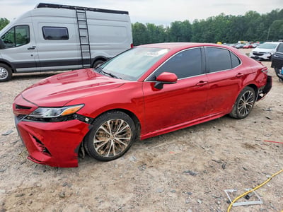 4T1B11HKXKU****** 2019 Toyota Camry