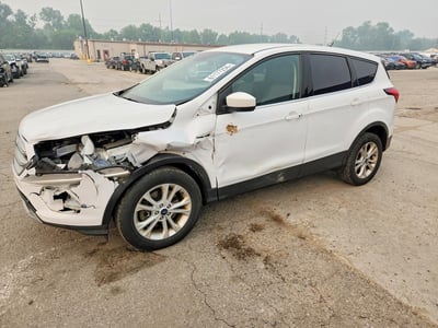 1FMCU9GD7KU****** 2019 Ford Escape