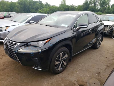 JTJBARBZ0K2****** 2019 Lexus NX 300