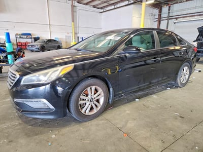 5NPE24AF1FH****** 2015 Hyundai Sonata