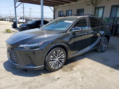 2025 Lexus RX