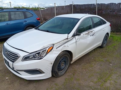 5NPE24AF3GH****** 2016 Hyundai Sonata