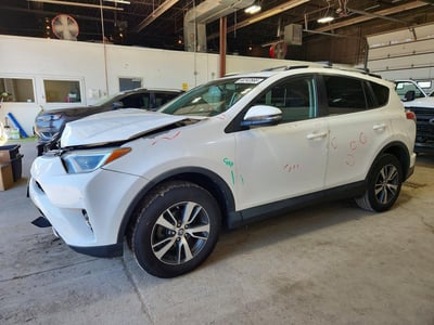2T3WFREV1GW****** 2016 Toyota RAV4