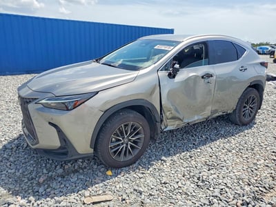 2025 Lexus NX