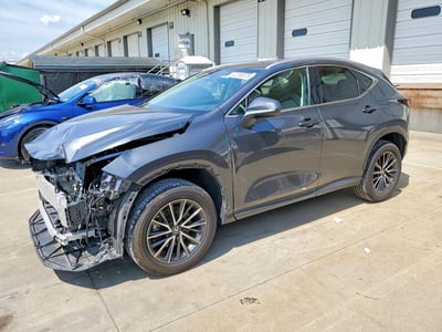 2T2GDCAZ6RC****** 2024 Lexus NX 250