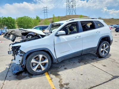 1C4PJMDX3LD****** 2020 Jeep Cherokee