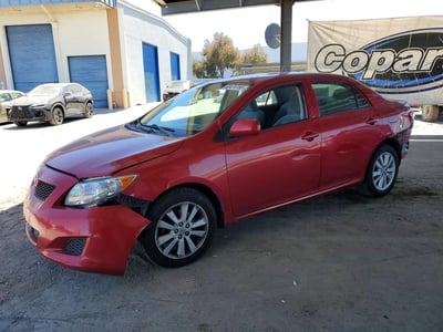 1NXBU40E49Z****** 2009 Toyota Corolla
