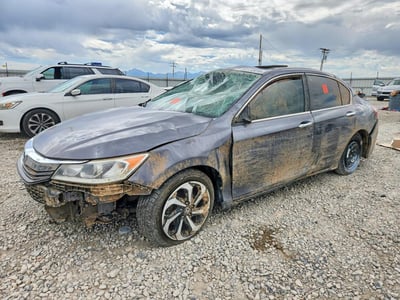 1HGCR2F86GA****** 2016 Honda Accord