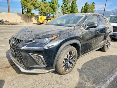 JTJSARBZ5M2****** 2021 Lexus NX 300