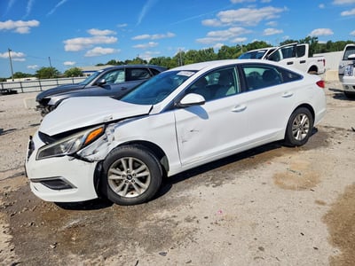 5NPE24AF2GH****** 2016 Hyundai Sonata
