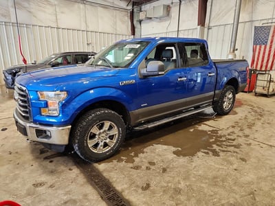 1FTEW1EP1FF****** 2015 Ford F-150