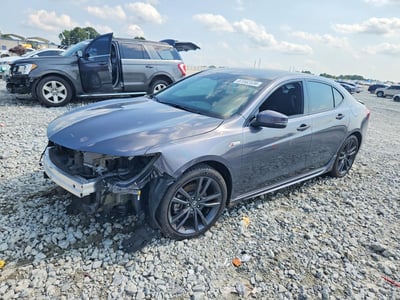 19UUB3F60KA****** 2019 Acura TLX
