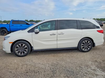 5FNRL6H6XRB****** 2024 Honda Odyssey