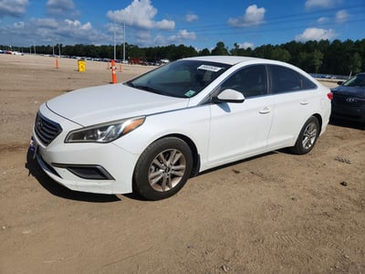 5NPE24AF2GH****** 2016 Hyundai Sonata