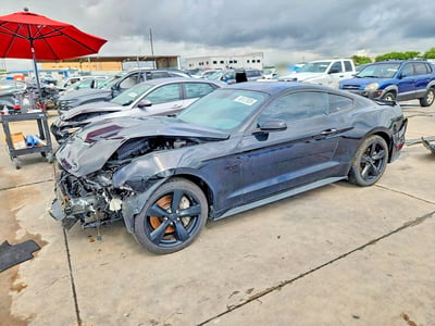 1FA6P8CF9P5****** 2023 Ford Mustang