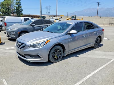 5NPE24AFXGH****** 2016 Hyundai Sonata