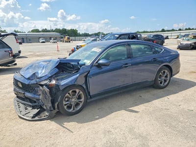 1HGCY1F35RA****** 2024 Honda Accord