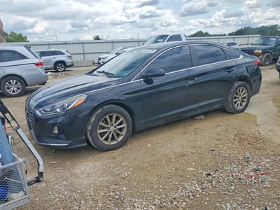 5NPE24AFXKH****** 2019 Hyundai Sonata
