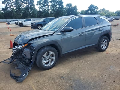 5NMJBCDE2RH****** 2024 Hyundai Tucson