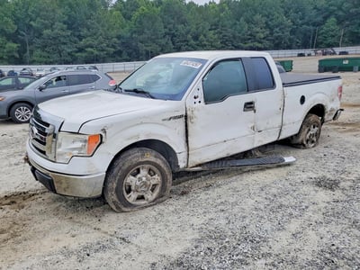 1FTEX1C82AF****** 2010 Ford F-150