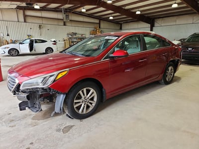 5NPE24AF0GH****** 2016 Hyundai Sonata