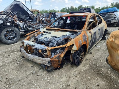 4T1B11HK6KU****** 2019 Toyota Camry
