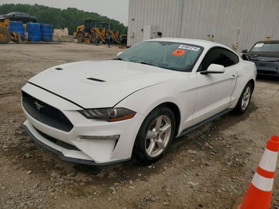 1FA6P8TH3K5****** 2019 Ford Mustang