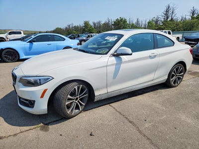 WBA2H9C55HV****** 2017 BMW 2 Series