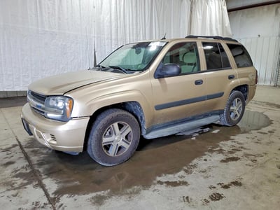 1GNDT13S252****** 2005 Chevrolet Trailblazer