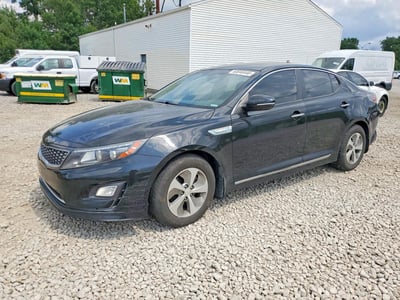 KNAGM4AD4F5****** 2015 Kia Optima