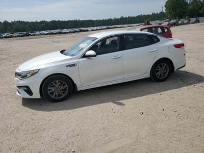5XXGT4L34KG****** 2019 Kia Optima