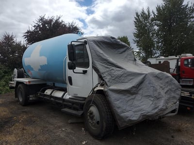 4UZAEDG15LC****** 2020 Freightliner S2g