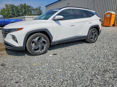 5NMJE3DE8RH****** 2024 Hyundai Tucson