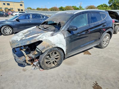 KM8J33A46HU****** 2017 Hyundai Tucson