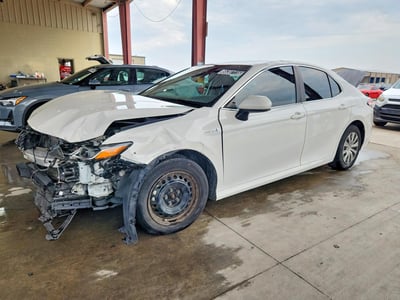 4T1B31HK1KU****** 2019 Toyota Camry Hybrid