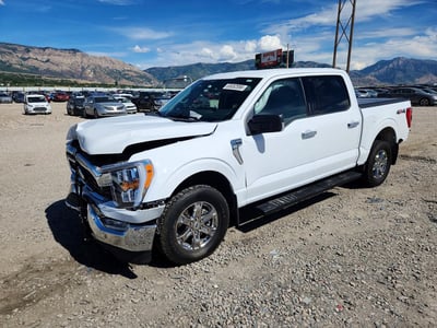 1FTFW1E82PK****** 2023 Ford F-150