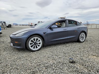 5YJ3E1EB8MF****** 2021 Tesla Model 3