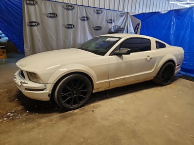 1ZVFT80N155****** 2005 Ford Mustang
