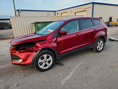 1FMCU0GXXEU****** 2014 Ford Escape