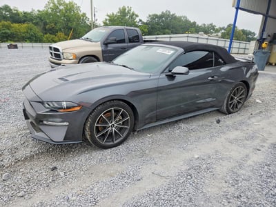 1FATP8UHXK5****** 2019 Ford Mustang