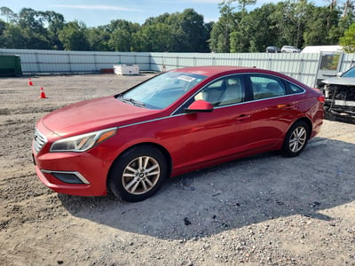 5NPE24AF5HH****** 2017 Hyundai Sonata