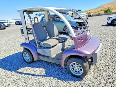 1FABP205620****** 2002 Ford Th!nk