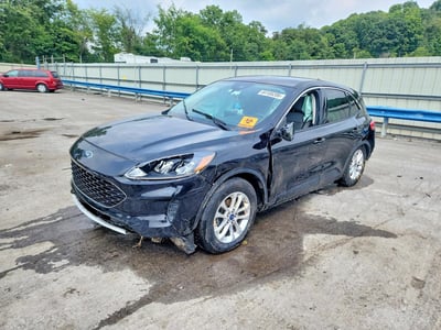 1FMCU0G67MU****** 2021 Ford Escape