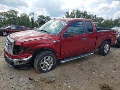 1FTFX1EF0DF****** 2013 Ford F-150