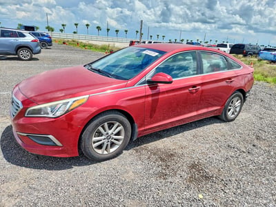 5NPE24AF2GH****** 2016 Hyundai Sonata