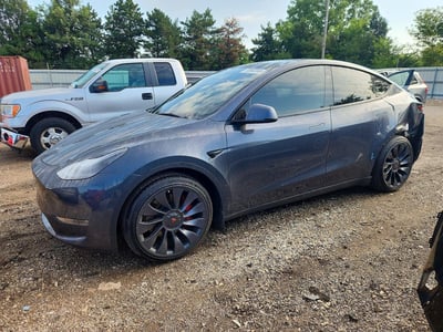 7SAYGDEF5PF****** 2023 Tesla Model Y