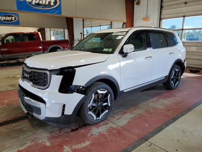 5XYP6DGC7RG****** 2024 Kia Telluride